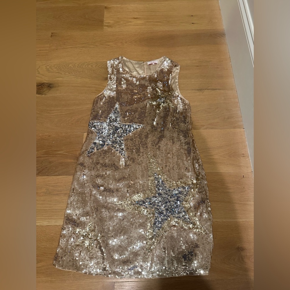 Parker Gold and Silver Star Sequin Midi Dress